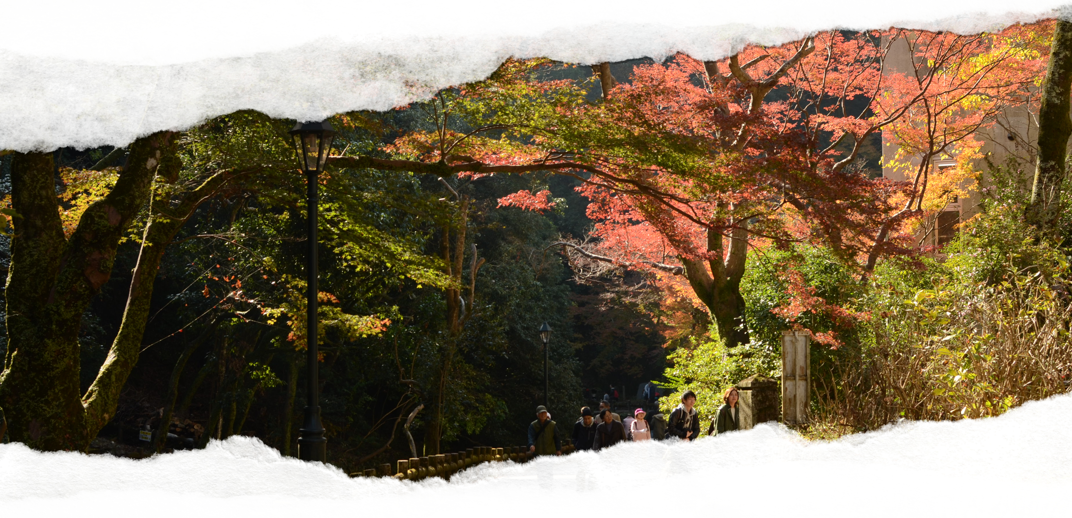 Autumn path in Japan, photograph by Jane Haezer